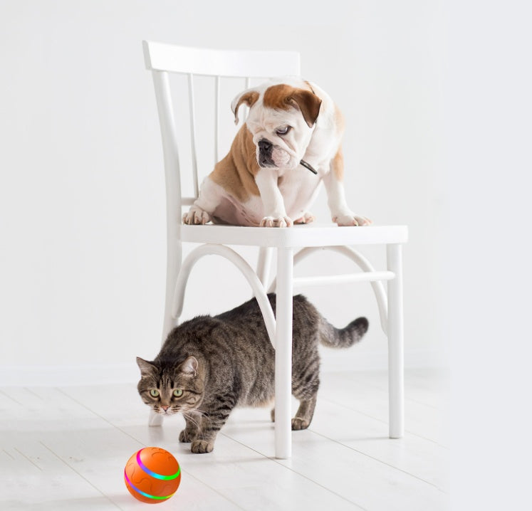 SpinPaw
